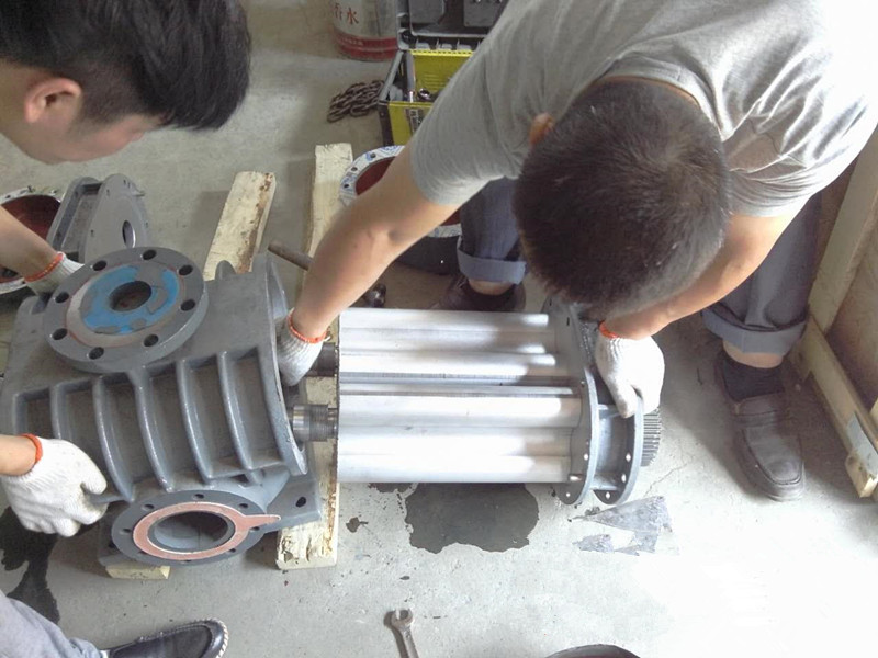 三葉羅茨鼓風(fēng)機(jī)維修 - 專業(yè)的維修服務(wù)供應(yīng)商