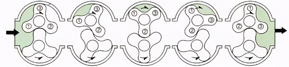 三葉羅茨鼓風機內(nèi)部結(jié)構(gòu)圖