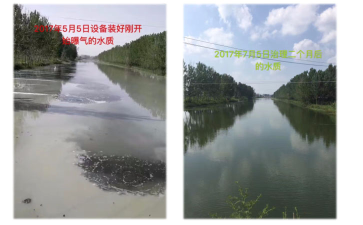 河湖治理效果對比
