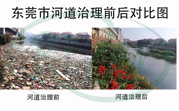 圖五：河道治理前后對比圖
