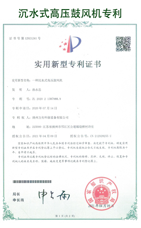 瑞柘沉水式高壓鼓風(fēng)機**