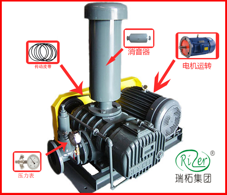 瑞柘羅茨風(fēng)機(jī)結(jié)構(gòu)簡(jiǎn)易分解圖