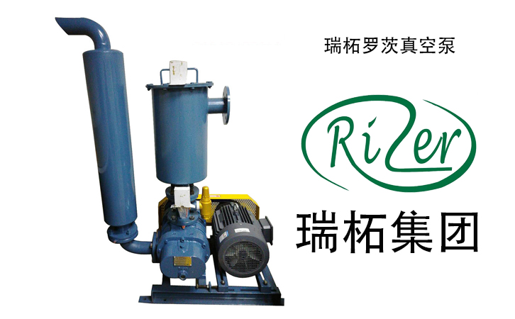 瑞柘羅茨真空泵實(shí)拍