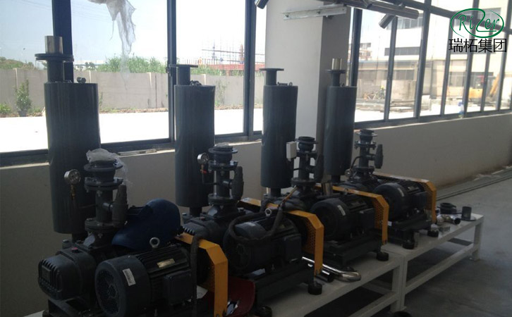 瑞柘羅茨股瘋子選型