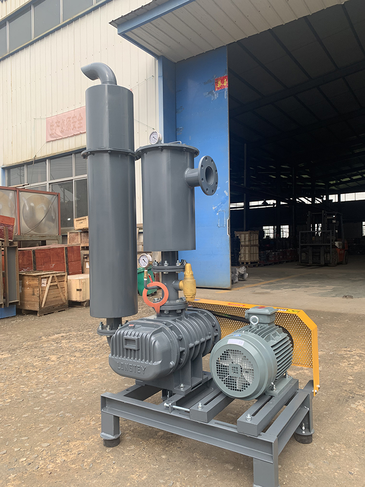 龍鐵羅茨風(fēng)機