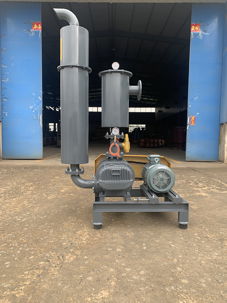 龍鐵羅茨風(fēng)機(jī)