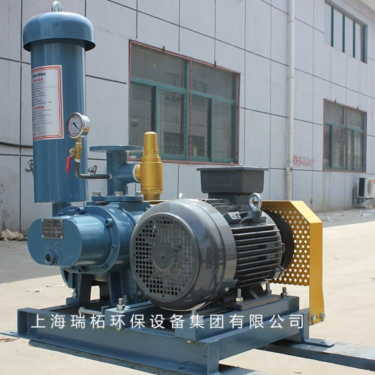 羅茨鼓風(fēng)機(jī)